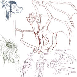 Dragon Sketches