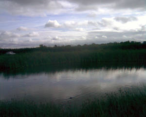 Farm Pond.