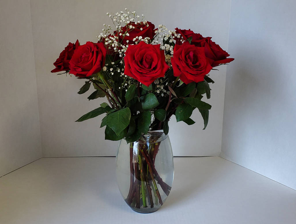 Romantic roses stock 16