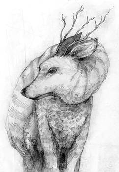 Creature Study by tdylan