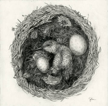 Little Bird by tdylan