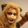 Lion Character Makeup