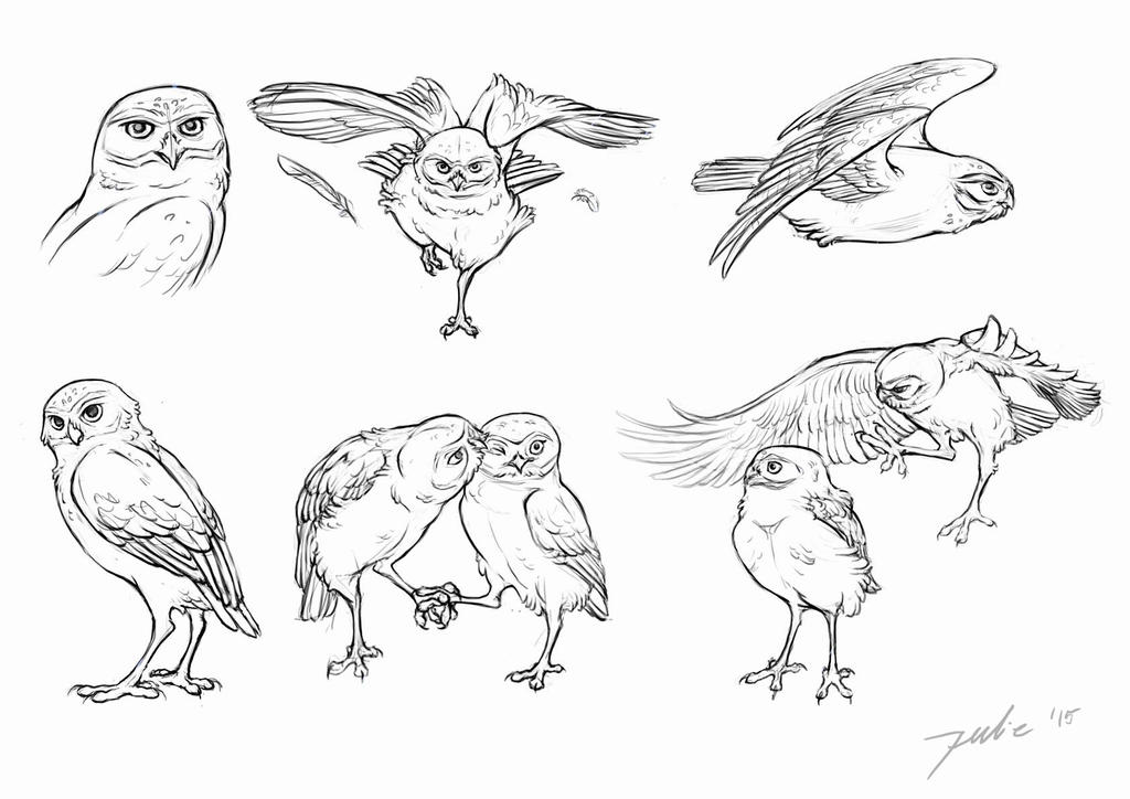 Sketches: Burrowing Owl by Buskelure on DeviantArt