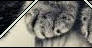 F2U | cat page decor 2