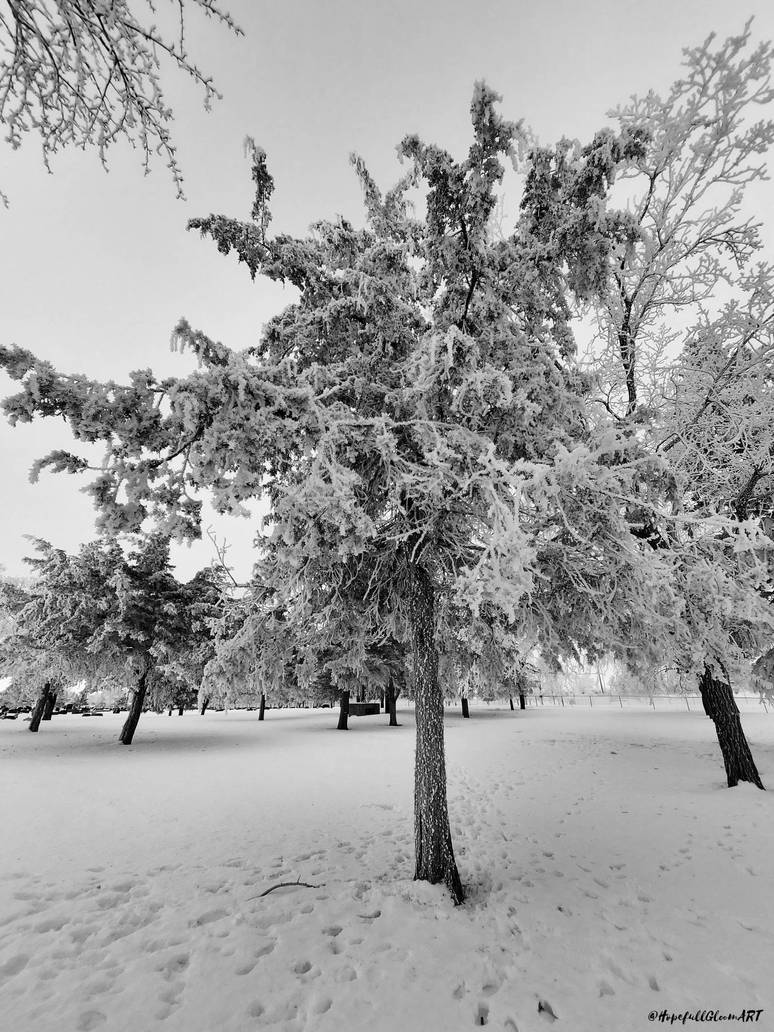 Frost Tree by TheGothFlower on DeviantArt
