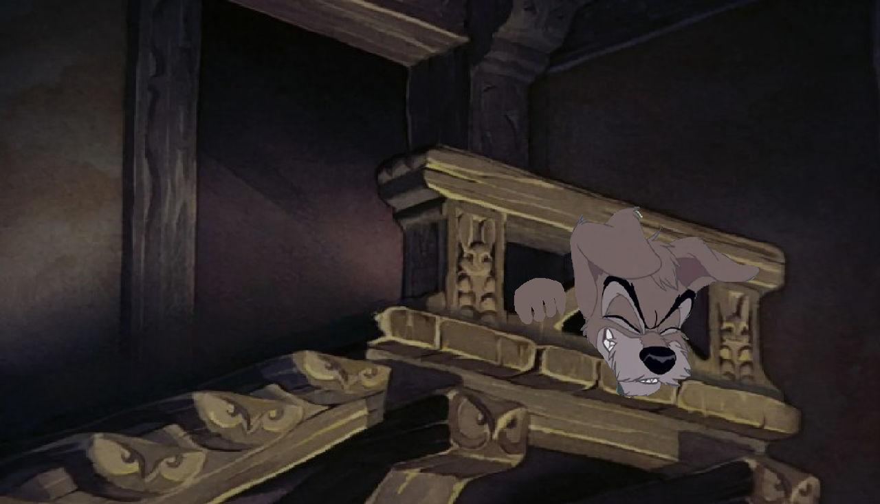 Scamp stuck in the stairs
