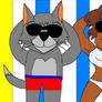 David and Drudge at the beach