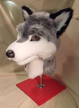 Fursuit Creation Antaris Wolf