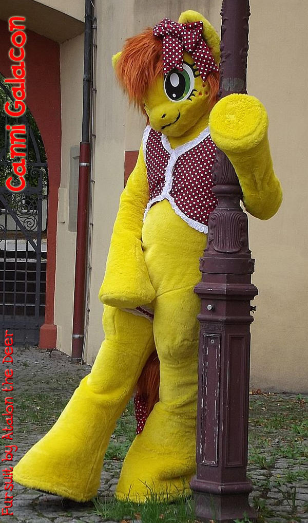 Mlp Caninia Canni Galacon MLP Fursuit Horse by AtalontheDeer on DeviantArt
