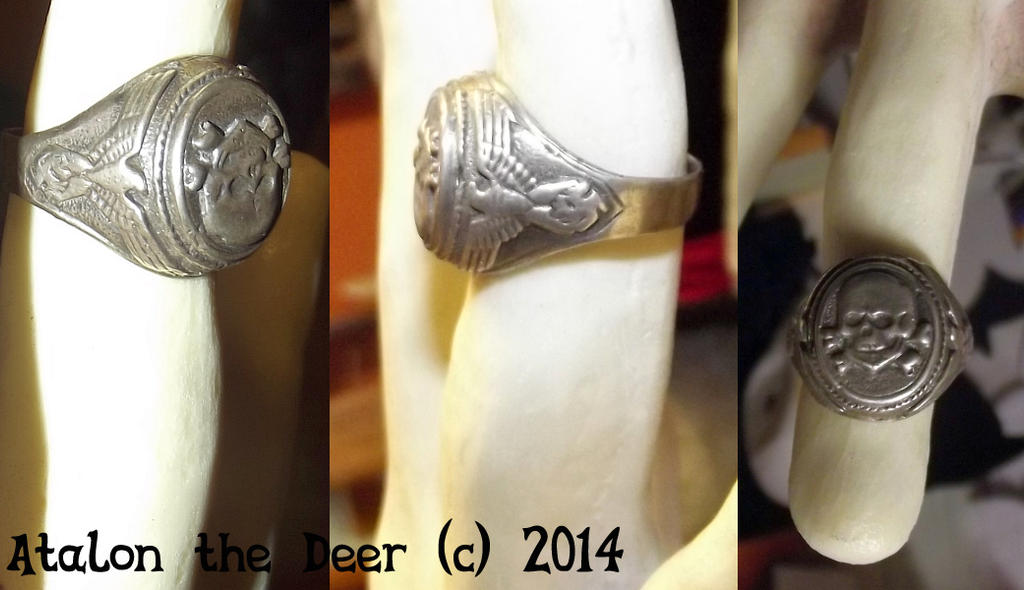 The real Master Ring - Lord of the Rings Iron Sky by AtalontheDeer on ...