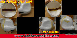 MLP Female open Jaw Headbase