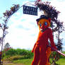 Boomerang Bugger at the garden