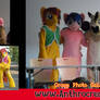 Group Picture 2012 Galacon MLP Fursuits Costume