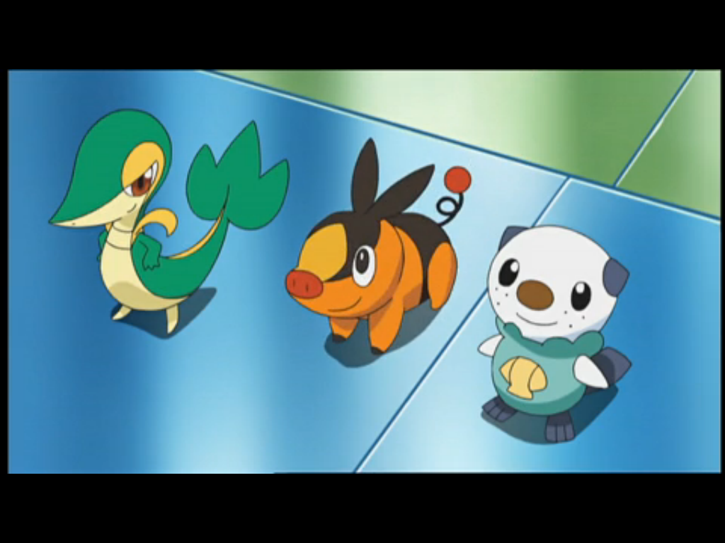 Pokemon Unova Starters Anime by PoKeMoNosterfanZG on DeviantArt Pokemon Unova Starters Anime by PoKeMoNosterfanZG on DeviantArt