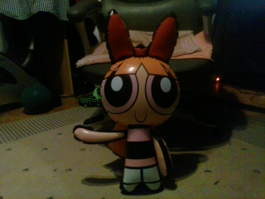 My Inflatable Blossom 1 by PoKeMoNosterfanZG on DeviantArt