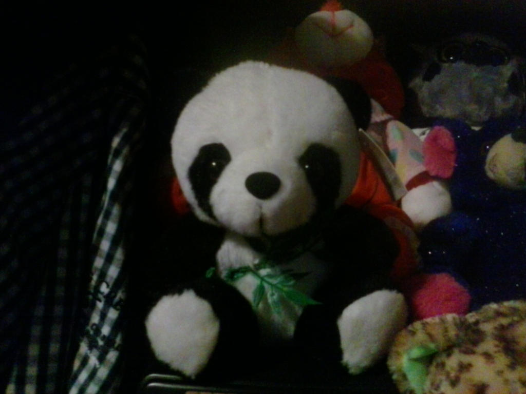 My Panda Plush 31 By PoKeMoNosterfanZG On DeviantArt my-panda-plush-31-by-pokemonosterfanzg-on-deviantart