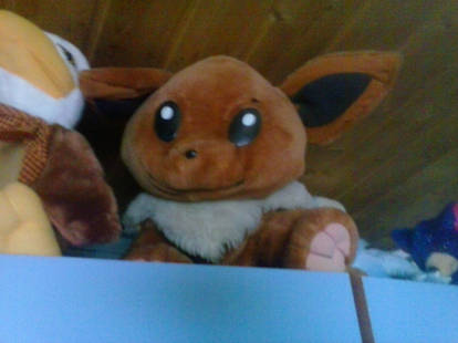 My Giant Eevee Plush 53