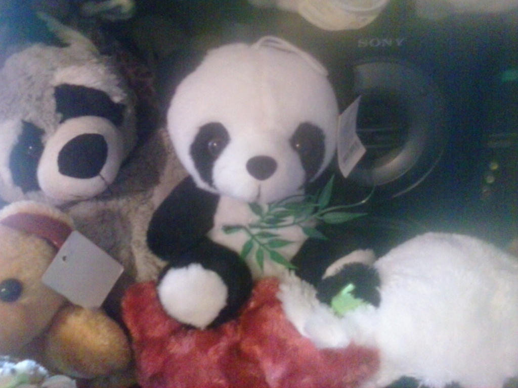 My Panda Plush 225 By PoKeMoNosterfanZG On DeviantArt my-panda-plush-225-by-pokemonosterfanzg-on-deviantart