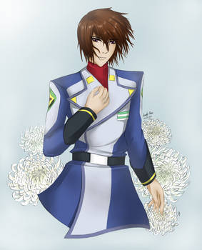 Gundam SEED - Chrysanthemum Morifolium