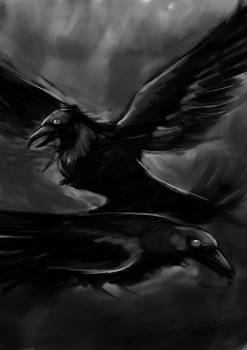 Hugin and Munin