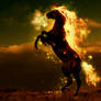 Horse on fire