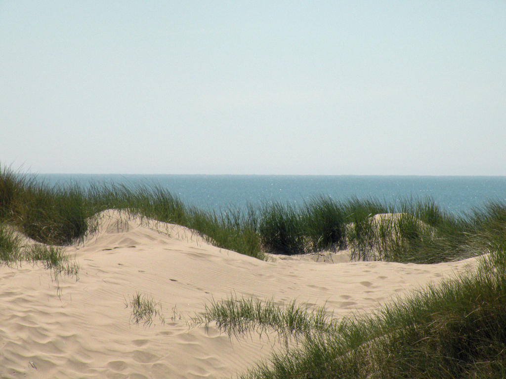 sand dunes stock 01