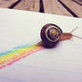 Rainbow snail.