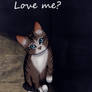 Love me?