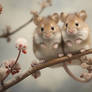 Mice in Spring2