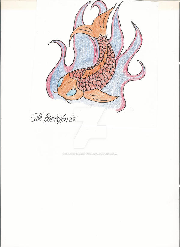 Koi Fish Flash by silver-razor-fish on DeviantArt