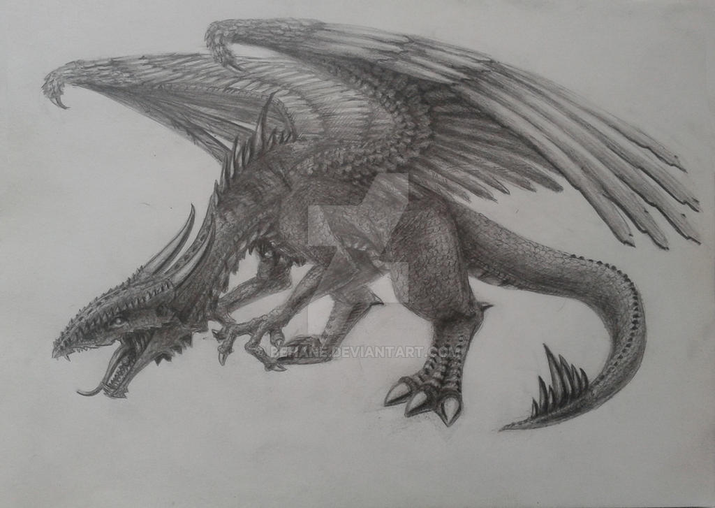 The enraged dragon