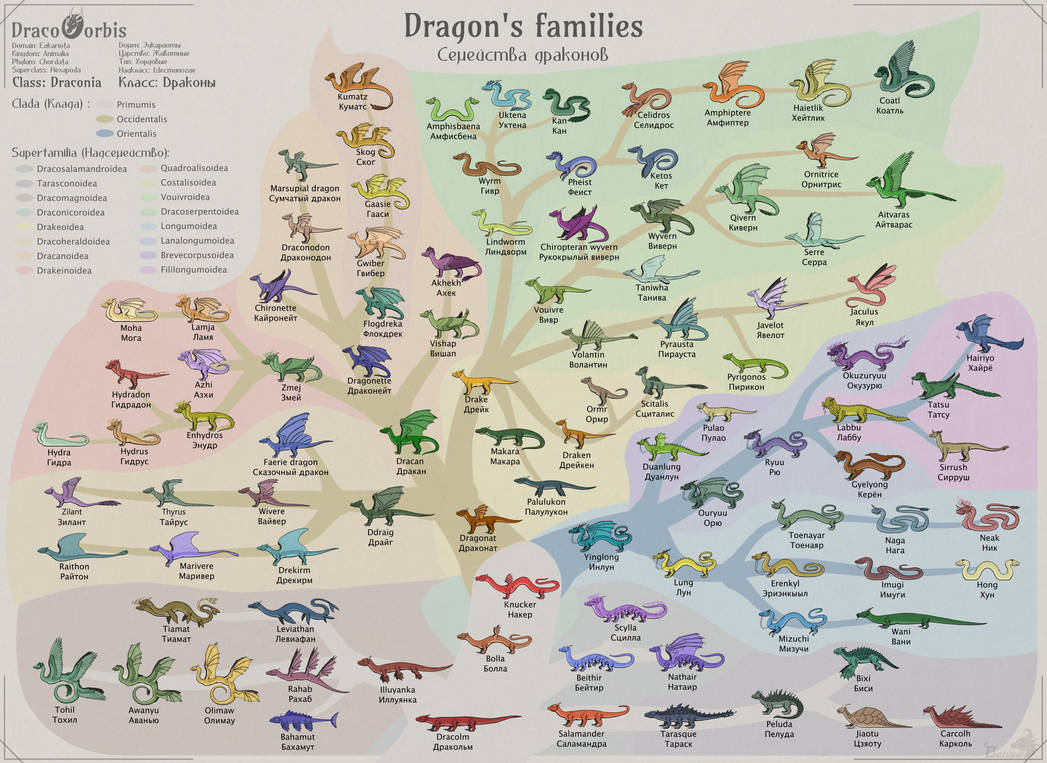 Draco Orbis: Dragon classification by Behane on DeviantArt