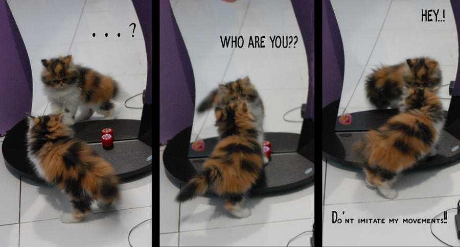 Hey Mirror hey mirror by elvinzie on DeviantArt