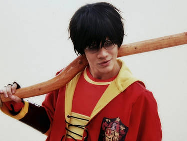 Harry Potter - Gryffindor Seeker IV~