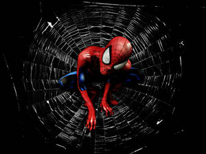 Ultimate Spider-Man - Web-Slinger by DashingTonyDrake Ultimate Spider-Man - Web-Slinger by DashingTonyDrake
