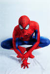Peter B. Parker is Spider-Man - Spider Stance! by DashingTonyDrake