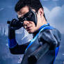 Dick Grayson, Nightwing - Gotham Knight