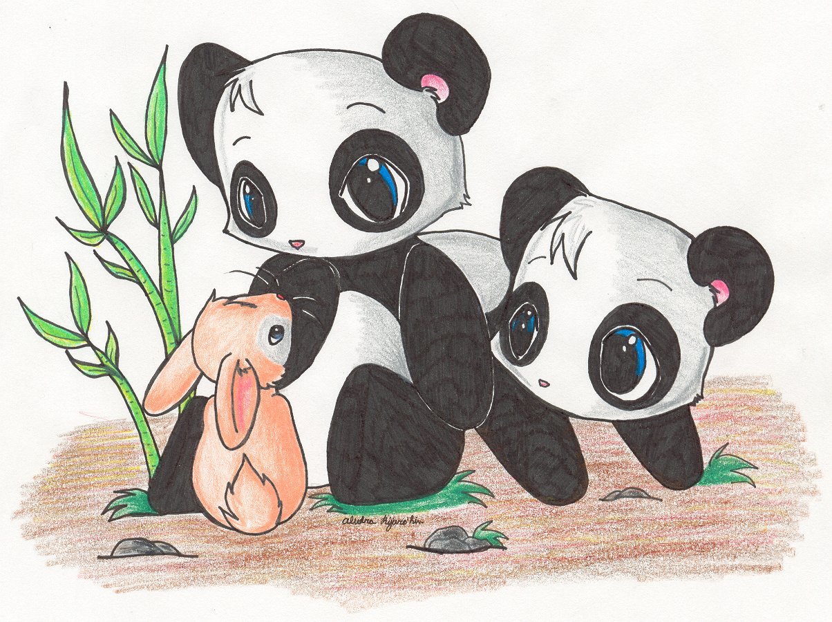 Pandas and Bunnies