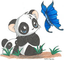 Pandas and Butterflies