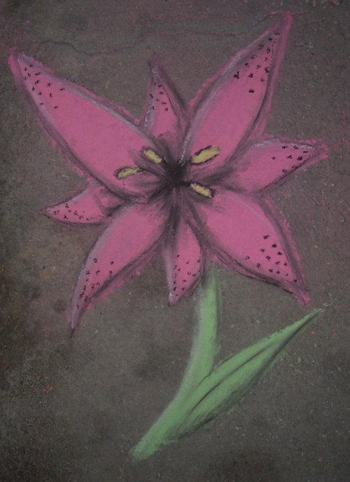 Chalk Pastel Flower by ToxicTwistyyy on DeviantArt