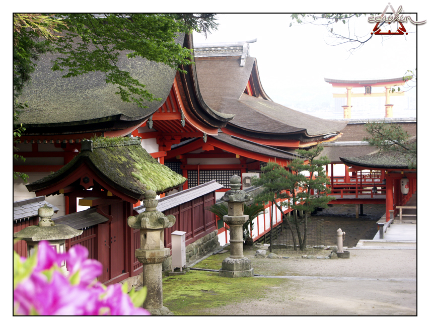 Itsukushima shrine and otorii