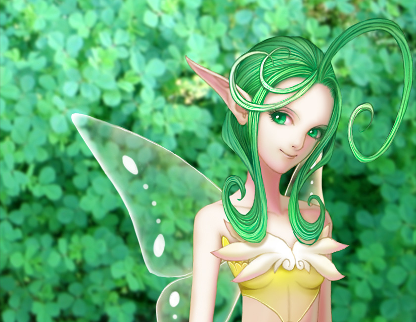 Gift: Fairy