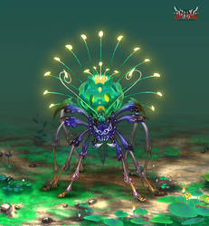 Anima: Peacock Spider
