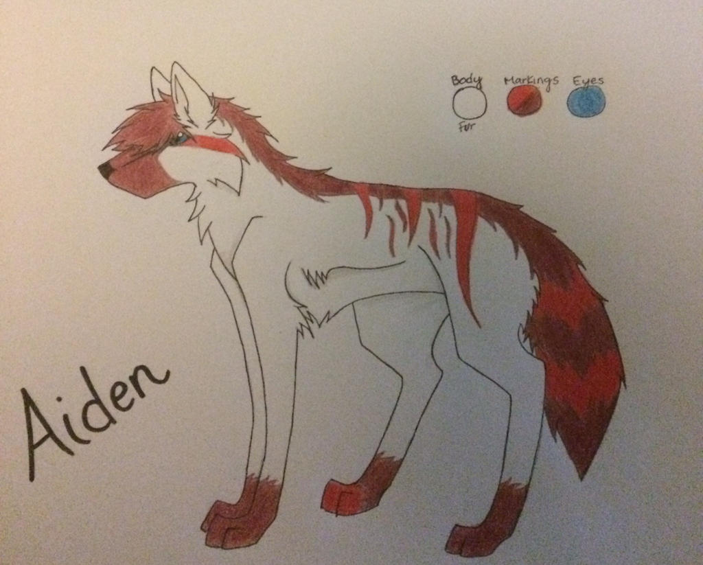 Aiden's Ref