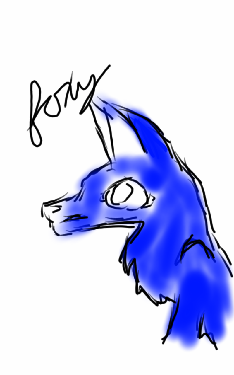 Sapphire Fox Practice