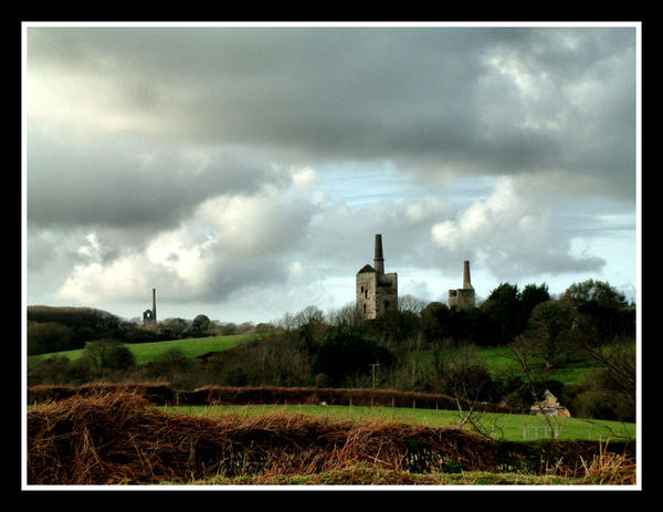 Wheal Unity Wood