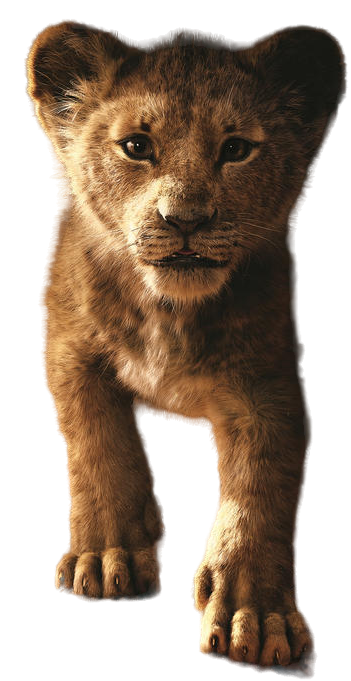 PNG Simba - El Rey Leon Live action by MikeMoon1990 on DeviantArt