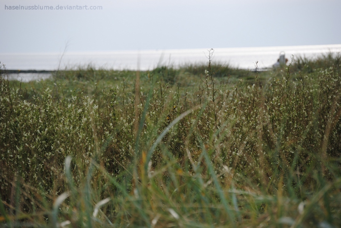 Dunes