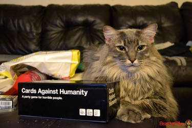 Cats Against Humanity