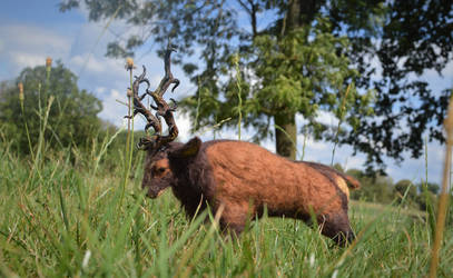 The King of forest